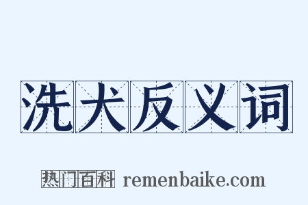 洗犬反义词是什么意思的图片